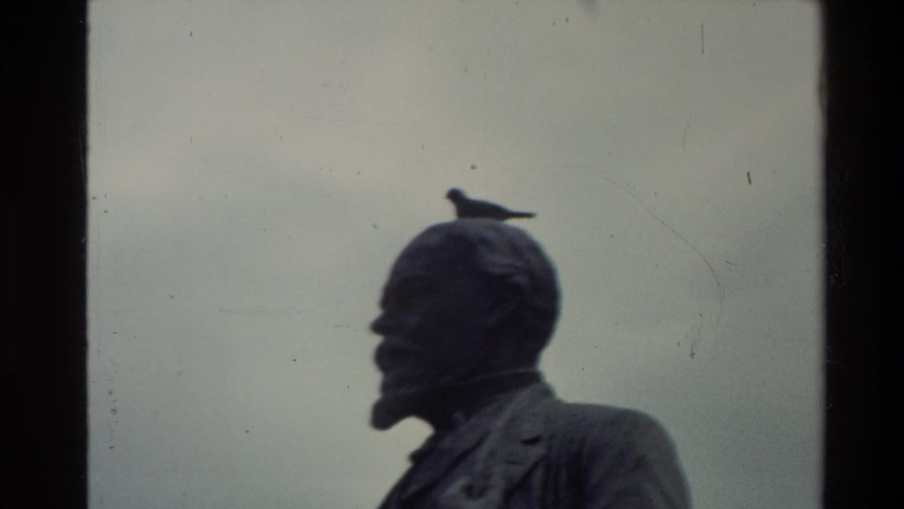 1981 New Zealand 8mm frame showing a bearded bronze statue with a bird perched on its head against an overcast sky.