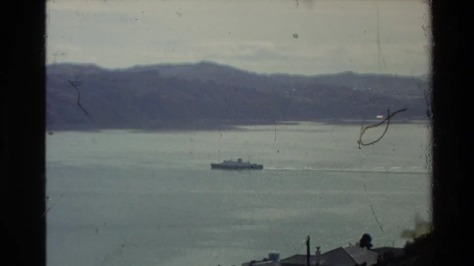 Elevated New Zealand harbor view from 1981 showing a distant vessel, calm water, hillside roofs and low hills beyond.