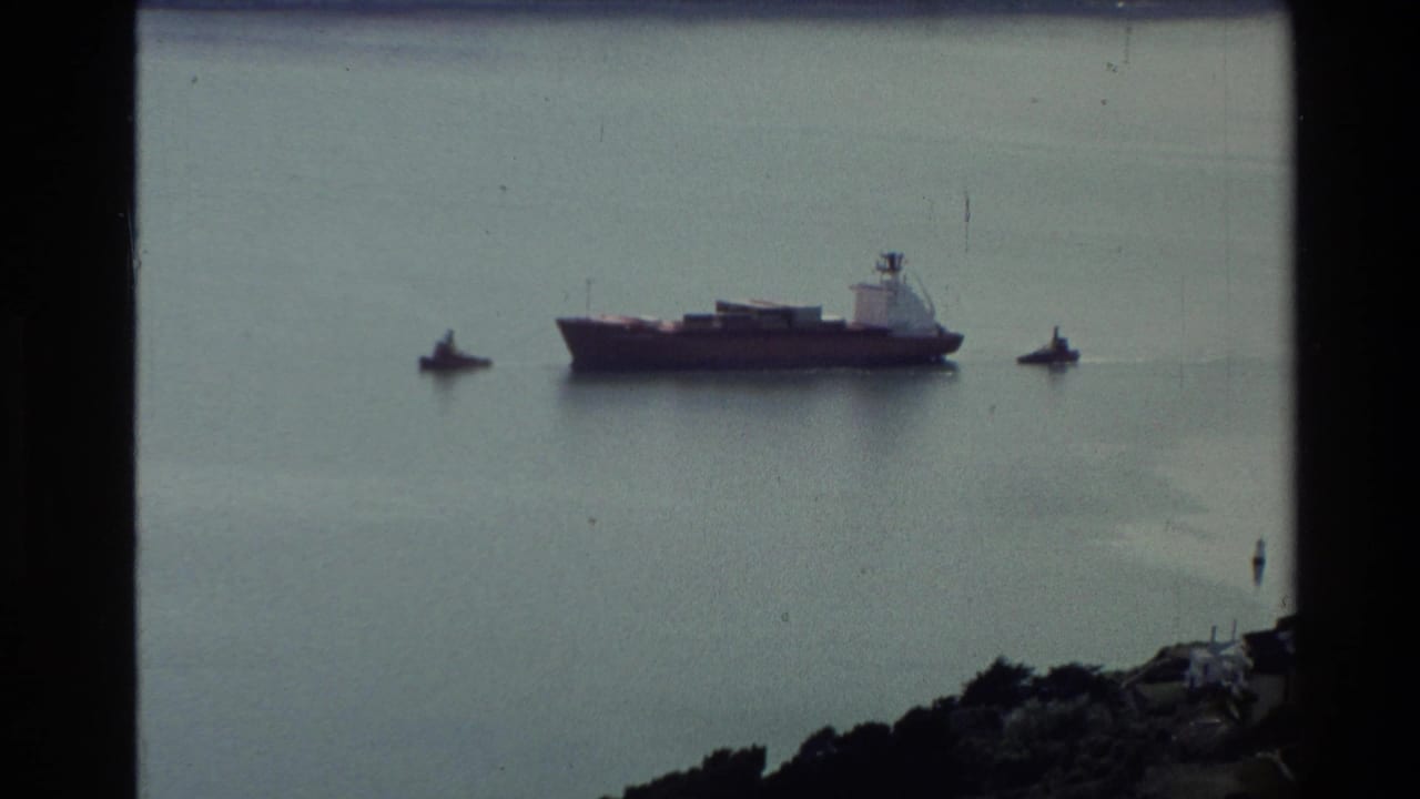 A large harbor vessel appears on calm water in New Zealand, with small boats nearby and soft 8mm color and grain.