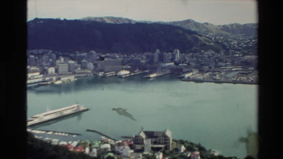 A high vantage view over a New Zealand harbor city shows waterfront piers, calm water, hillside neighborhoods, and visible film wear.