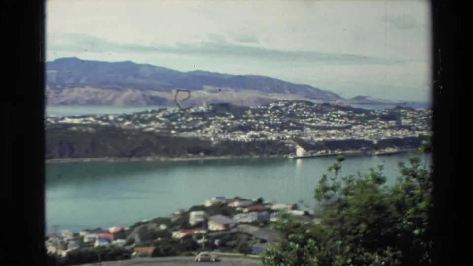 1981 New Zealand frame from a lookout, with shrubs and homes in the foreground and a broad waterway below distant hills.