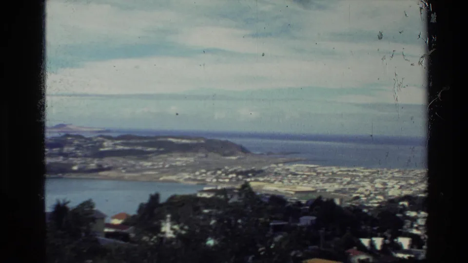 Soft 8mm frame of a New Zealand coastal town in 1981, with bay water, dark foreground trees, low buildings, and distant shoreline.