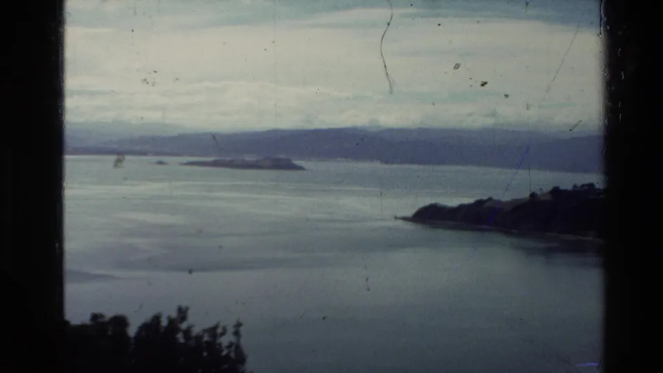 Final 1981 New Zealand 8mm frame showing bay water, a dark shoreline at right, distant hills, and surface film marks.