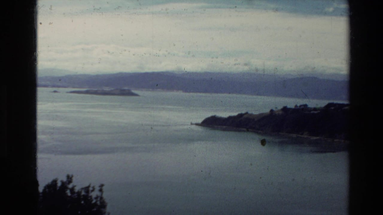 1981 New Zealand 8mm frame showing calm coastal water, distant hills, small islands, cloudy sky, and dark foreground framing.