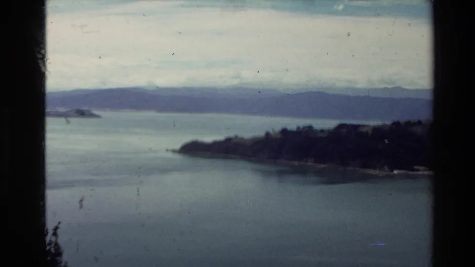 1981 New Zealand coastal view with still water, a dark wooded headland, distant hill line, and soft 8mm film texture.
