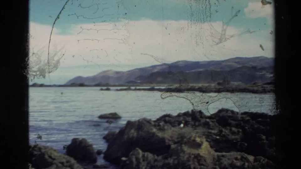 1981 New Zealand coastal frame with shoreline rocks, still water, distant hills, cloudy sky, and pronounced surface marks on the film.