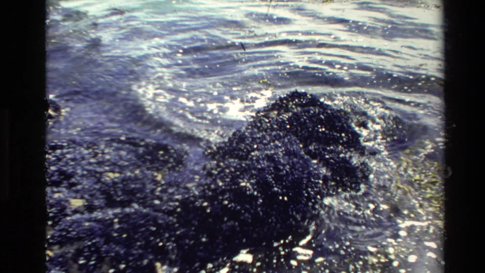Close 1981 New Zealand 8mm shoreline detail showing tidewater moving around a dark rock with strong reflected highlights.