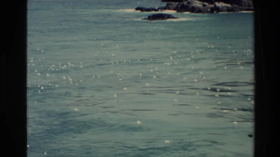 White seabirds appear over rippled New Zealand coastal water, with rocks and dark film borders framing the 8mm view.