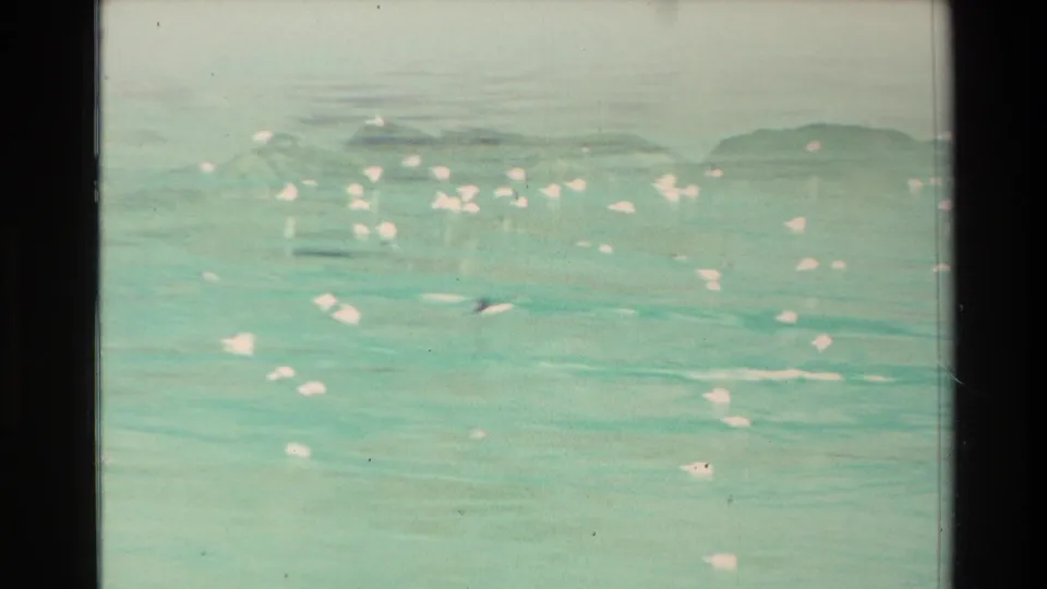 Faded 8mm frame from New Zealand showing white seabirds over pale turquoise water with soft distant islands or headlands.