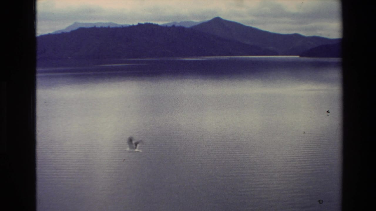 1982 New Zealand 8mm frame showing a bird skimming over still lake water beneath distant mountains and an overcast sky.