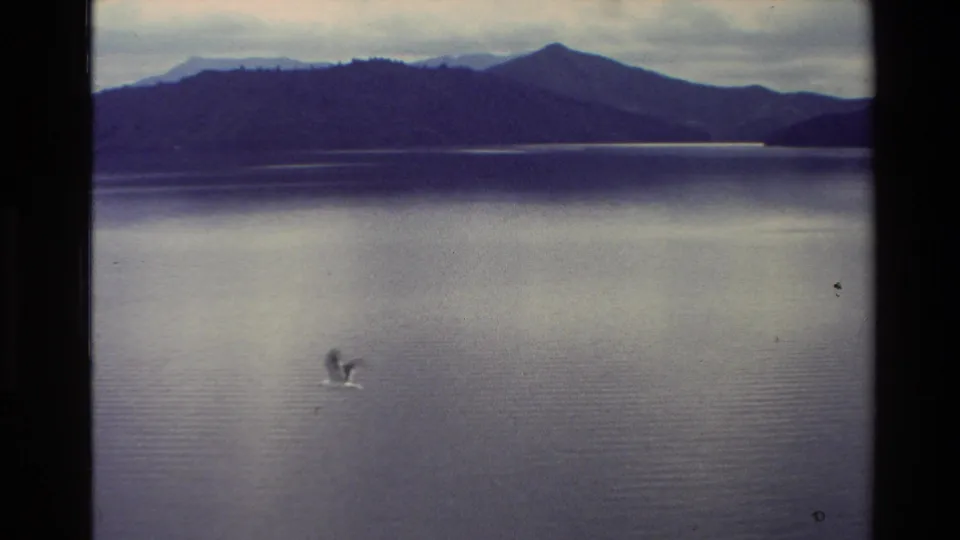 1982 New Zealand 8mm frame showing a bird skimming over still lake water beneath distant mountains and an overcast sky.