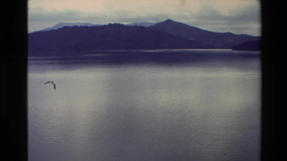 A bird glides across open lake water in a New Zealand 1982 home-movie frame, with dark mountains along the far shore.