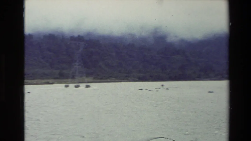 Wide 1982 New Zealand river view with a distant forested bank, pale sky, and small dark shapes on the water.