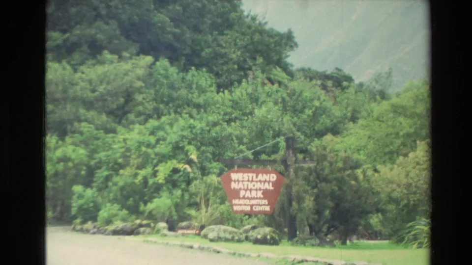 1982 New Zealand visitor-shot frame with a Westland National Park sign set among dense green bush beside a road or path.