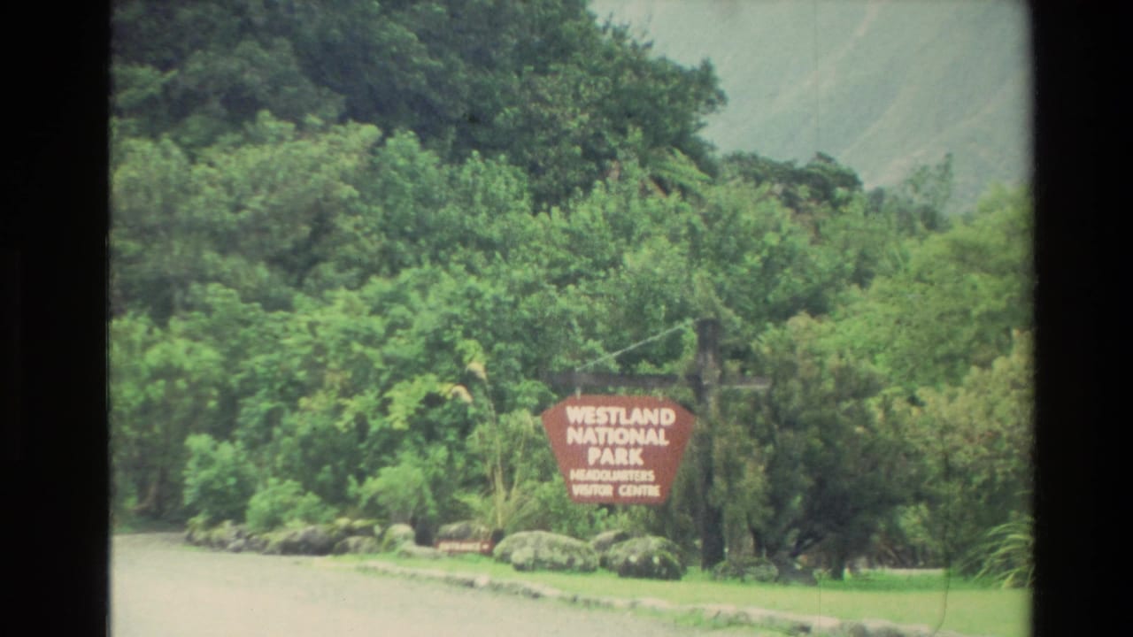 1982 New Zealand home-movie frame showing the Westland National Park headquarters and visitor centre sign among dense green trees.
