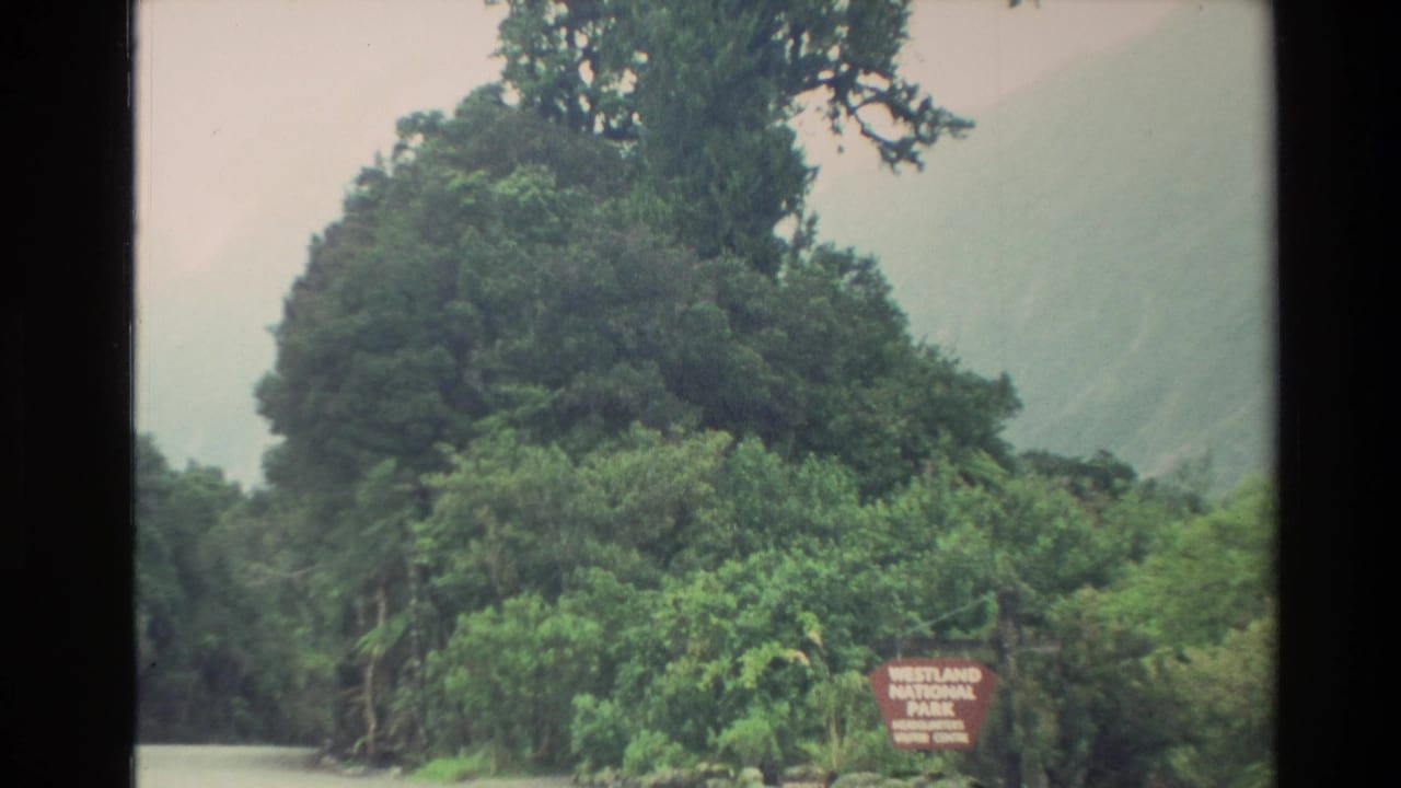 Forested roadside with a small red Westland National Park sign near the right edge.