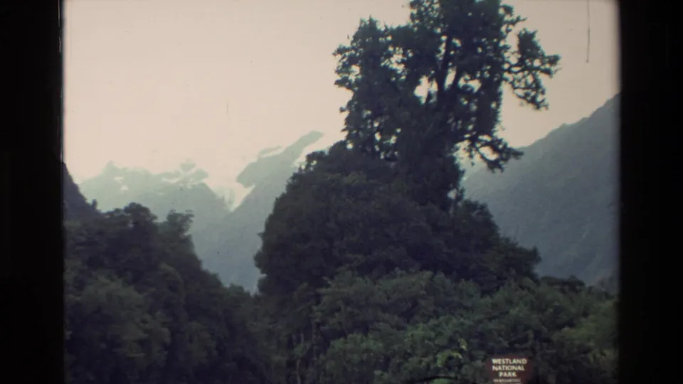 1982 New Zealand home-movie frame looking past a large tree and forest toward hazy mountain slopes and snow patches.