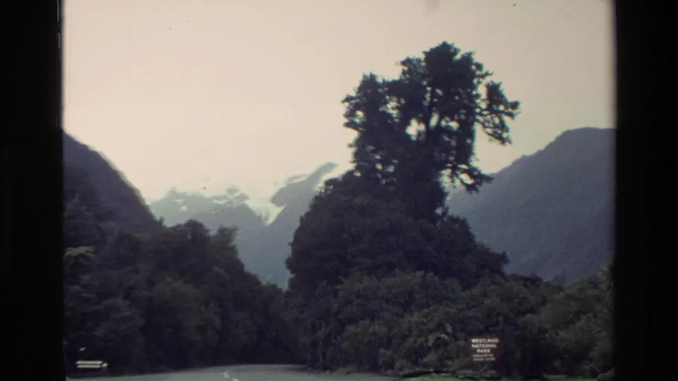 Final 1982 New Zealand frame showing a tall roadside tree, misty mountains, dense vegetation, and the Westland National Park sign low at right.