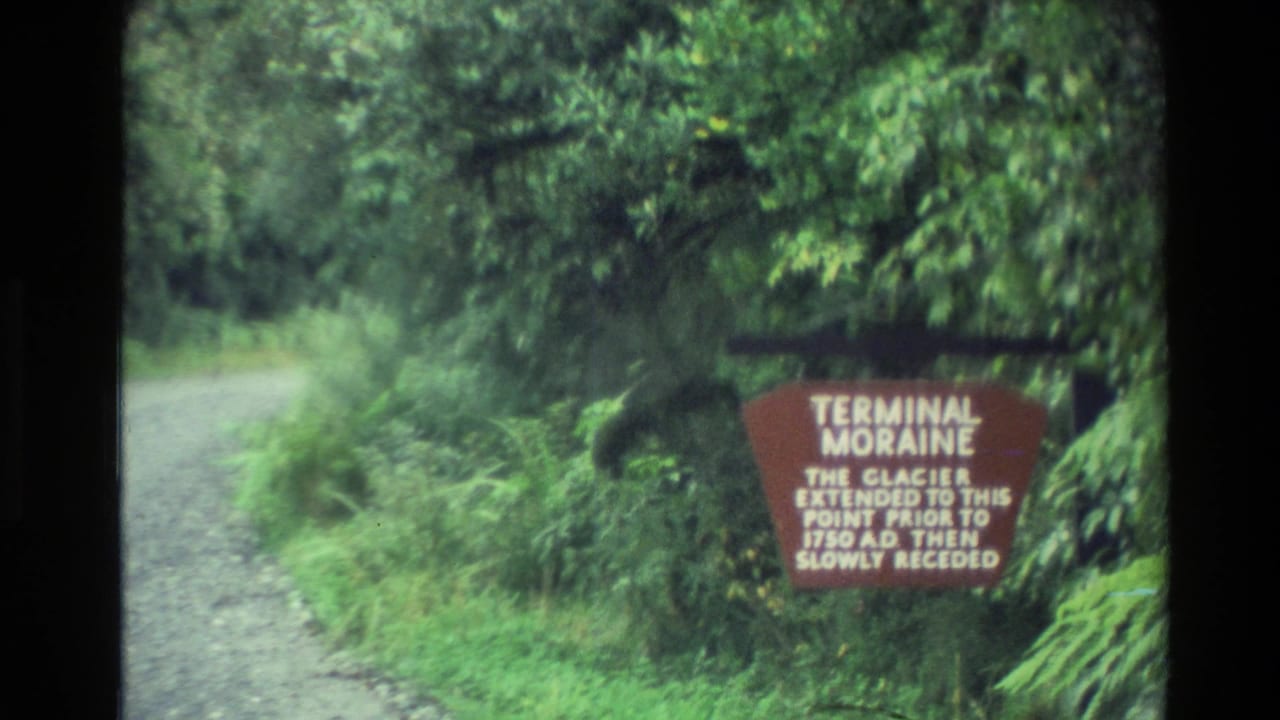 Brown terminal moraine sign beside a gravel forest path.