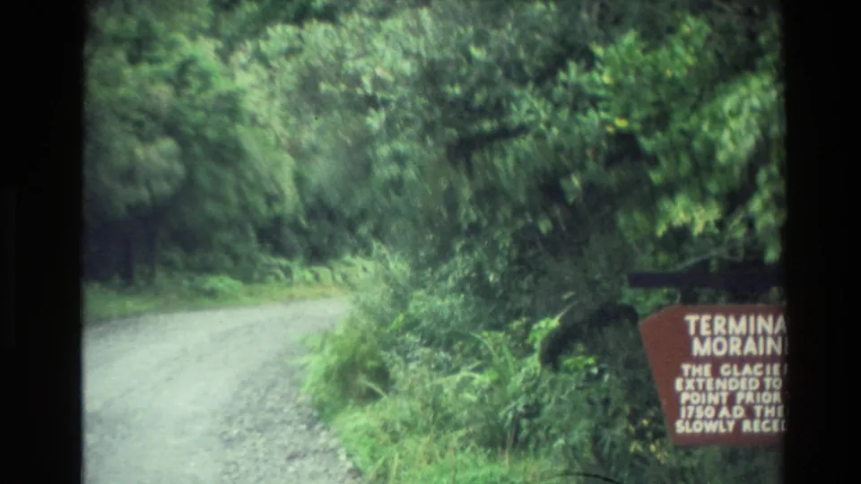 Handheld 8mm view of a gravel path through New Zealand forest with the terminal moraine sign partly cropped at right.