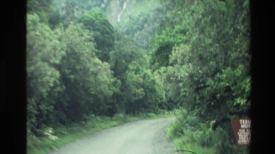 New Zealand forest track in 1982 home-movie footage, with dense vegetation and part of the moraine sign at the lower right.