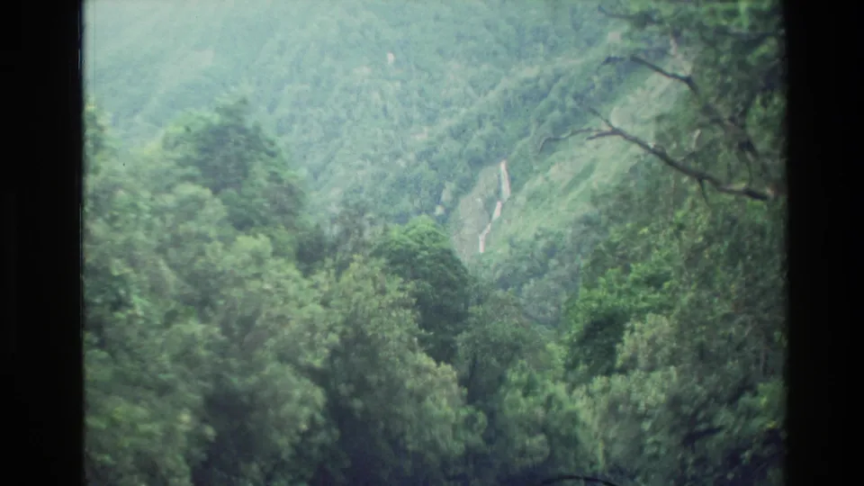 Soft 8mm frame of a forested New Zealand valley and hillside, with the trail area no longer dominant in view.