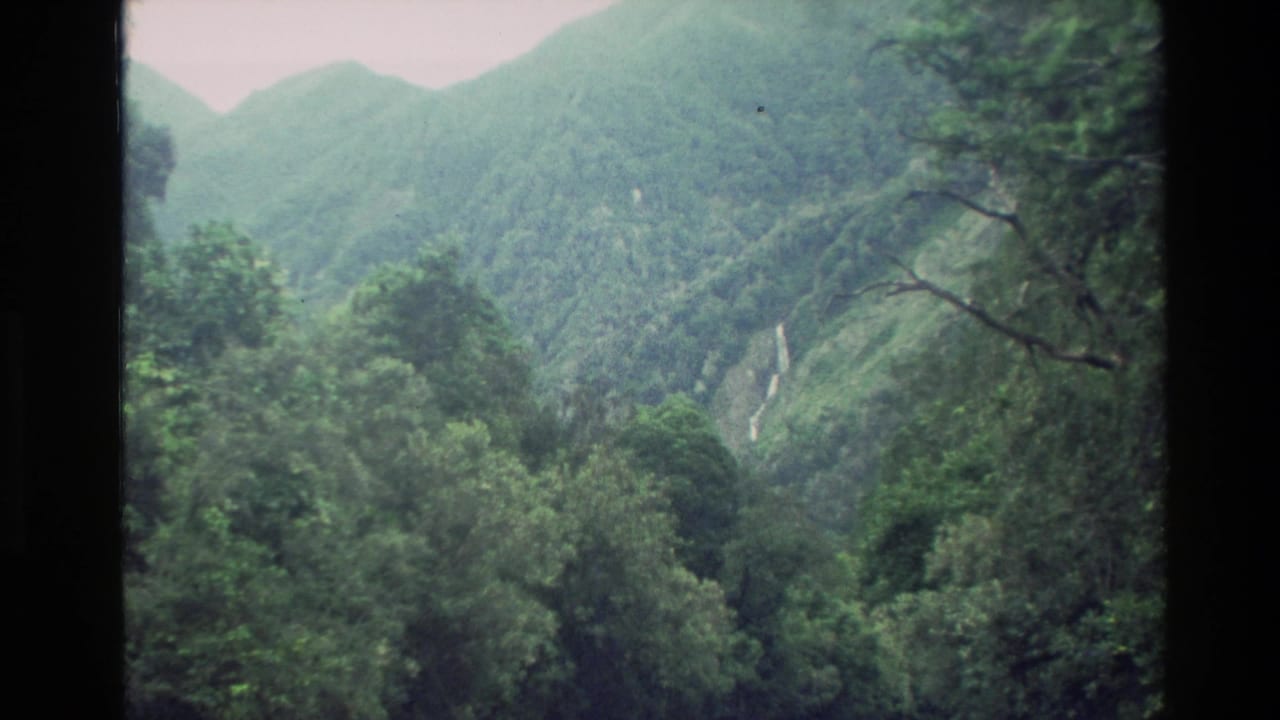 1982 New Zealand 8mm frame showing a green mountain valley, dense forest canopy, and a distant waterfall through dark frame edges.