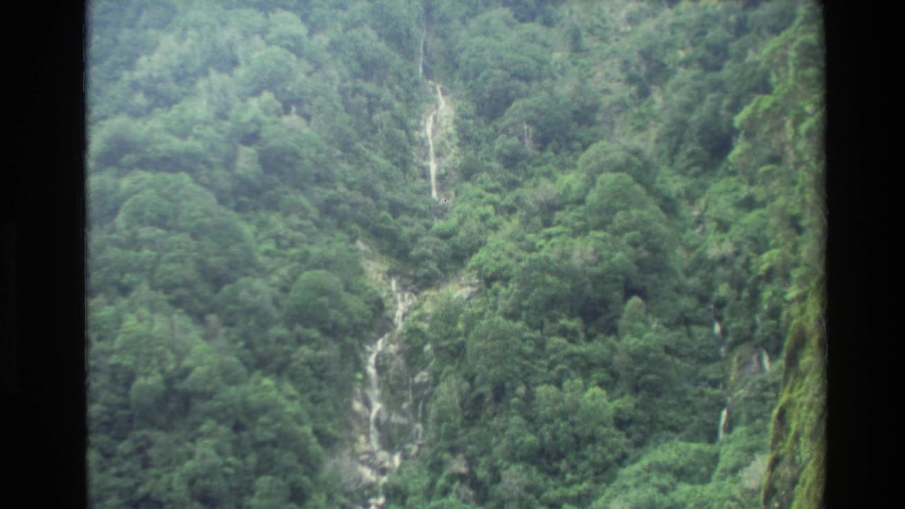 Dense green forest on a steep slope with a narrow white waterfall running downward.