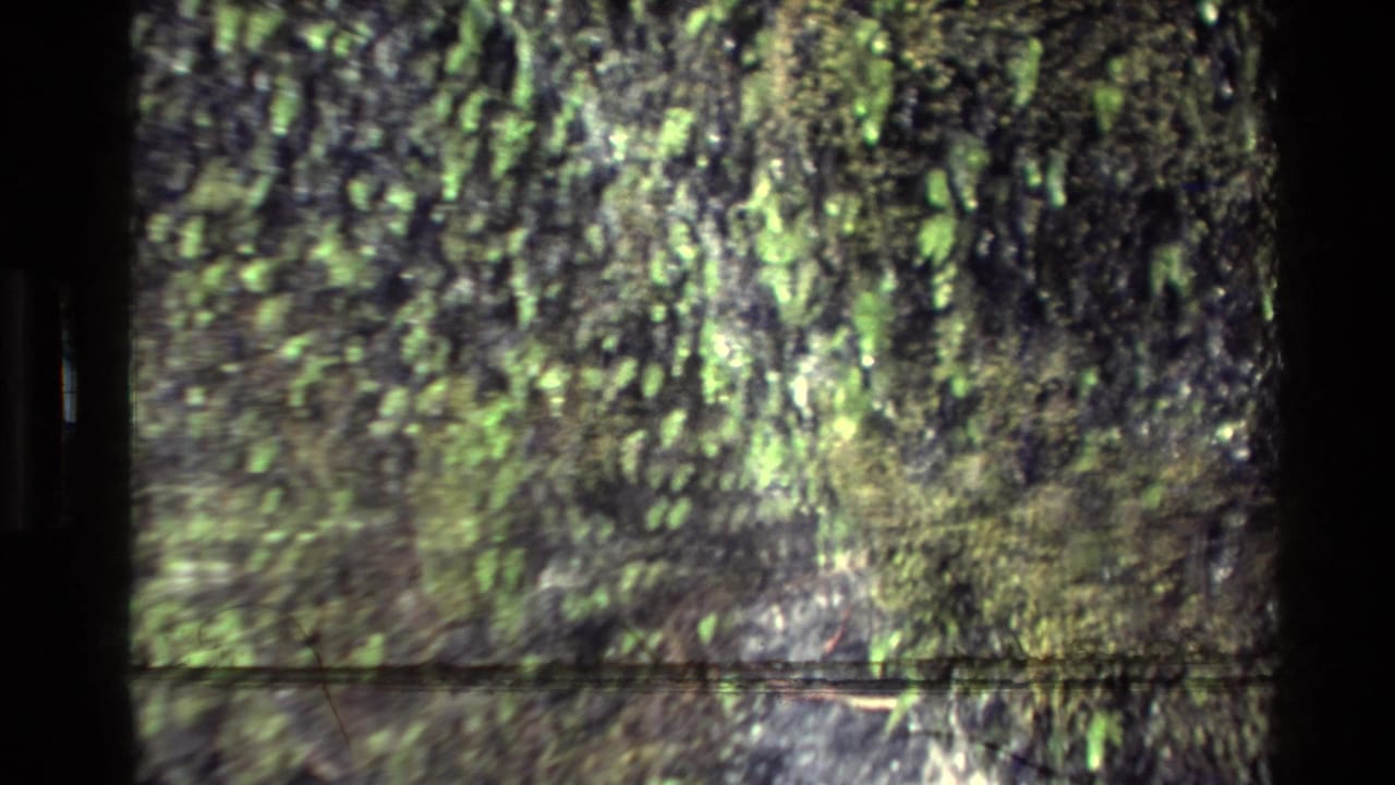 Soft 8mm frame of a mossy rock wall, likely part of a New Zealand mountain landscape.