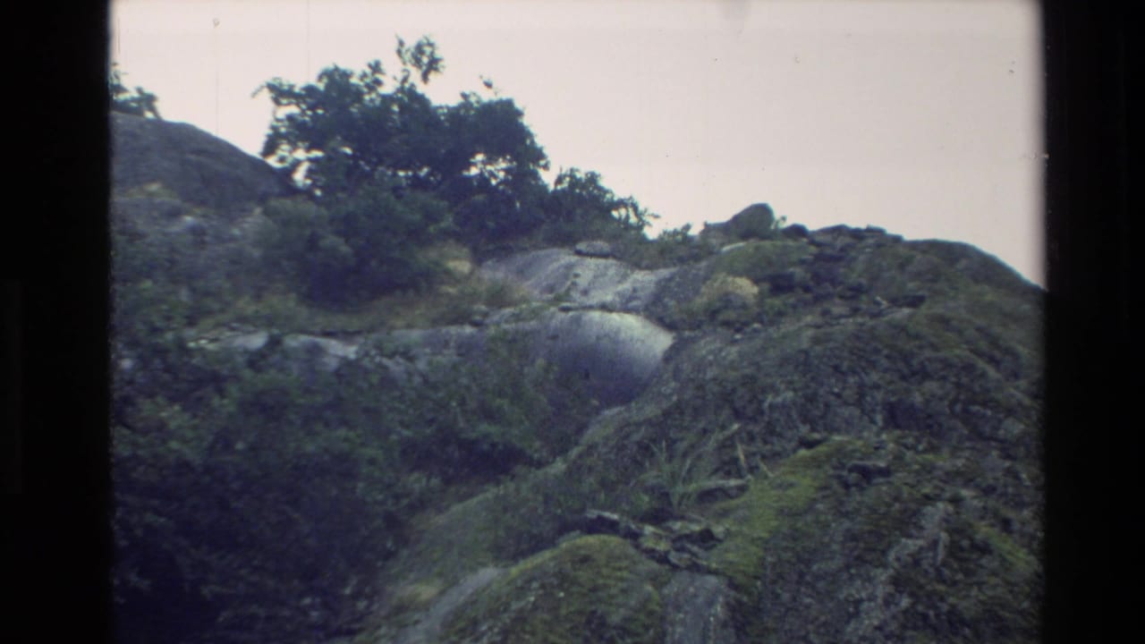1982 New Zealand 8mm frame showing a moss-covered rocky hillside with scattered shrubs and trees under an overcast sky.