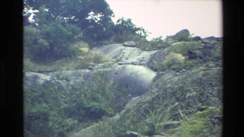 1982 New Zealand 8mm frame of a rugged mossy hillside with shrubs, trees, and exposed pale rock surfaces.