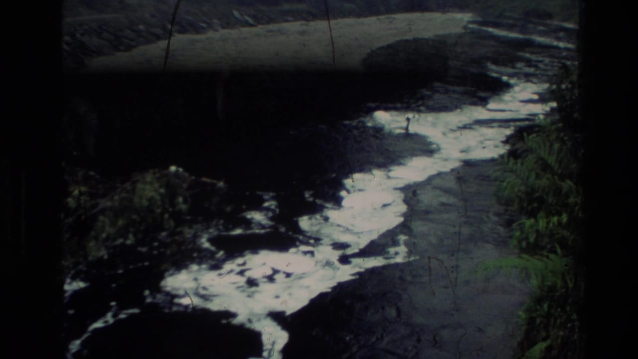 Narrow stream with white foam beside dark banks and green vegetation.