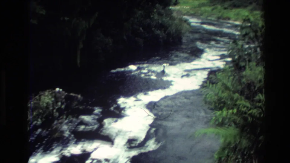1982 New Zealand 8mm frame showing a narrow, foamy stream bordered by rocks and dense green vegetation.