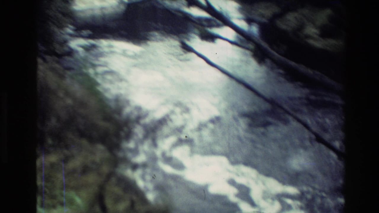 Blurred river current seen through trees with pale water and dark branches.