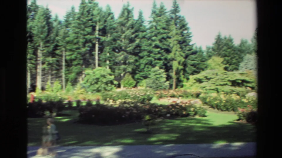 1982 New Zealand home-movie frame showing a landscaped garden with lawn, flower beds, tall conifers, and a paved path.