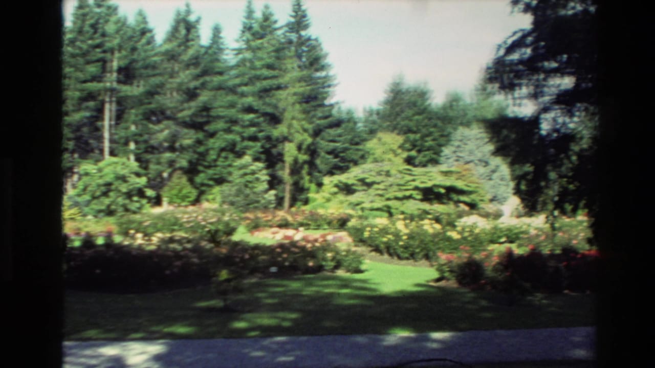 Sunlit garden lawn with flower beds and tall evergreen trees behind dark 8mm frame borders.