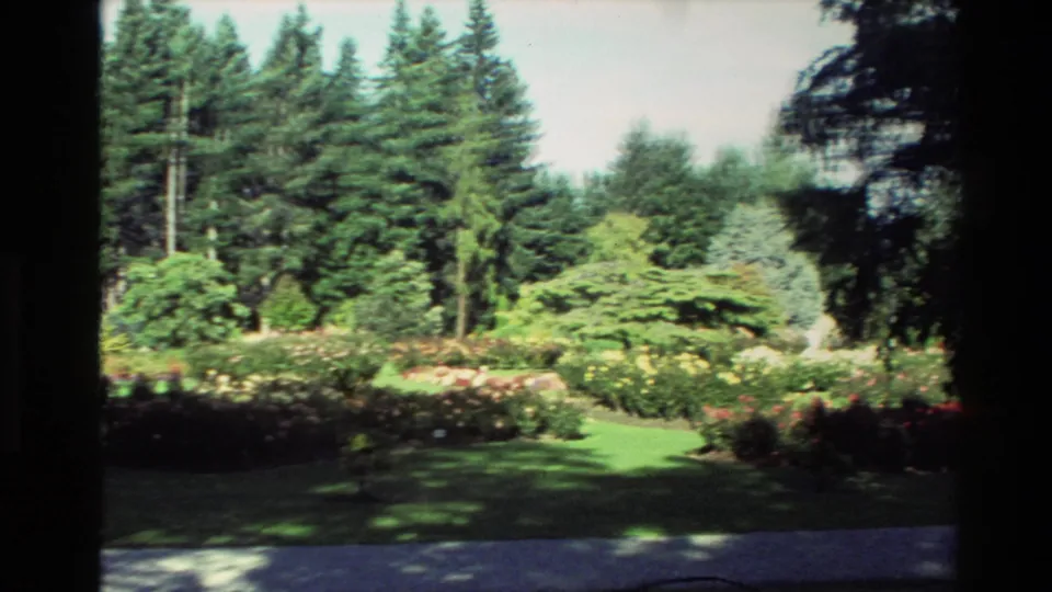 1982 New Zealand 8mm frame showing a green lawn, flowering border, shrubs, and tall trees in a maintained garden setting.