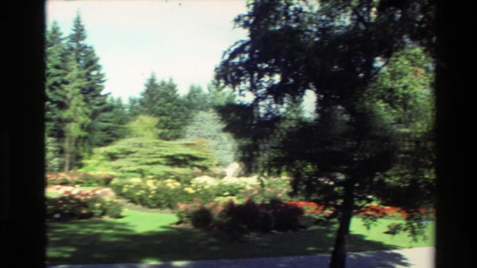 1982 New Zealand 8mm frame with a landscaped garden, flower borders, dense trees, and shadowed foliage framing the view.