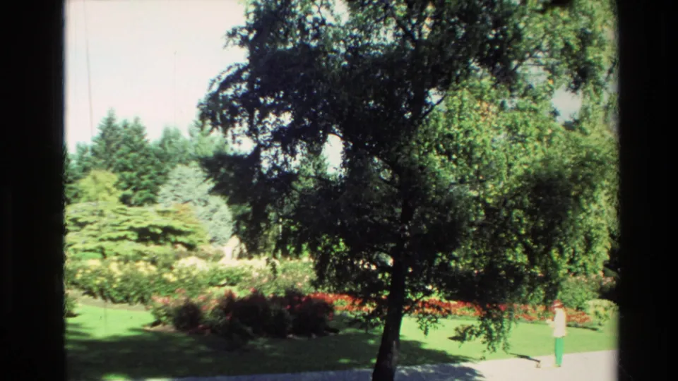 1982 New Zealand 8mm frame showing a large shade tree, garden plantings, lawn, and one distant person walking near the path.