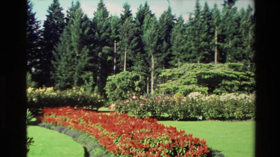 1982 New Zealand 8mm frame showing a vivid red flower bed curving through a manicured garden with lawn, roses, and evergreens.