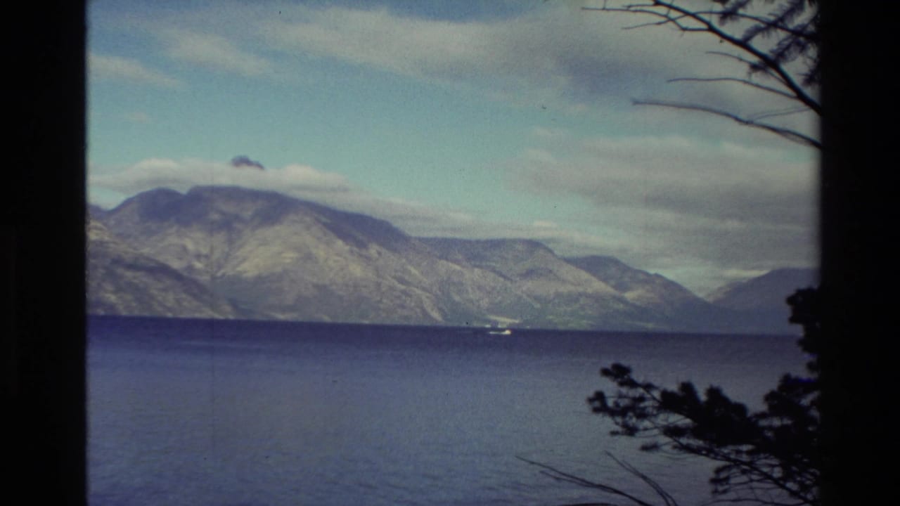 1982 New Zealand lake scenery with mountains across the water and dark trees framing the right edge.