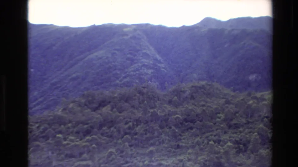 Forested New Zealand mountain slopes fill the frame, filmed from a boat with dark vertical framing at the edge.