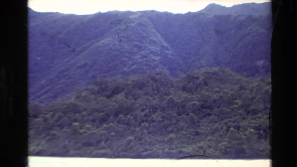 Home-movie shot of dense mountain vegetation and ridgeline in New Zealand, with faded color and soft 8mm texture.