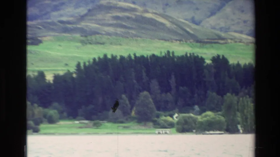 1982 New Zealand 8mm frame of lake water, a wooded shore, and rolling green hills, with film grain and soft exposure.