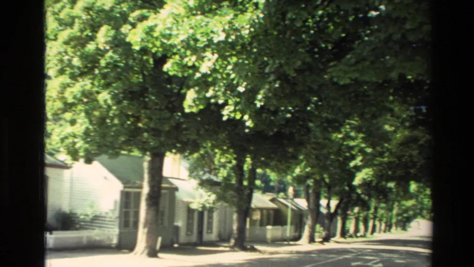 1982 New Zealand home-movie frame looking down a quiet tree-lined street past white houses and fences.