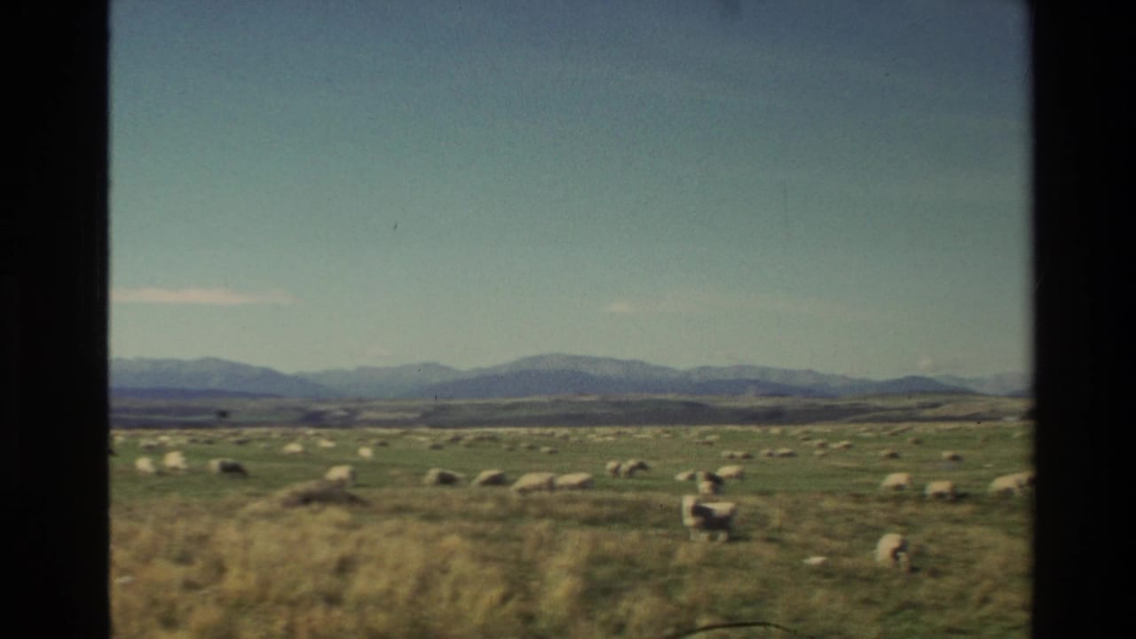 1982 New Zealand 8mm view of sheep grazing across an open pasture with hay bales and low mountains in the distance.