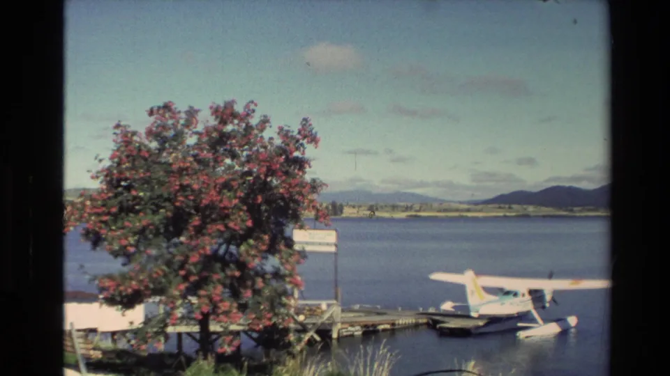 Lakeside seaplane scene in New Zealand, showing a floatplane moored near a pier with a flowering tree and low mountains beyond.