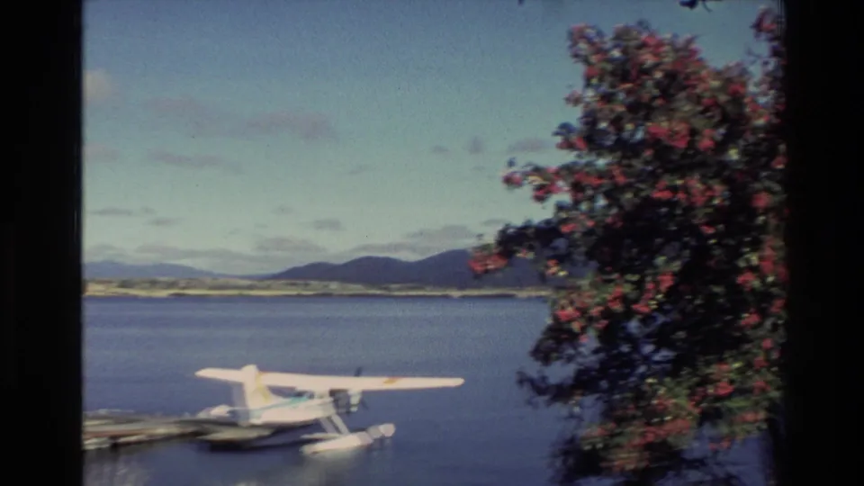 1982 New Zealand lakeside view with a white seaplane at a wooden pier, blue water, distant hills, and dark tree branches at the edge.