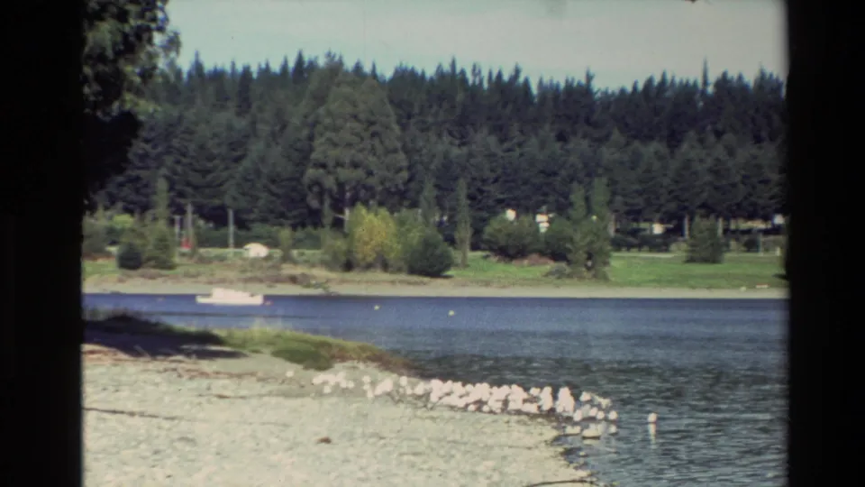 A New Zealand lakeshore with gravel beach, still water, evergreen forest and a small white boat in 1982 travel footage.
