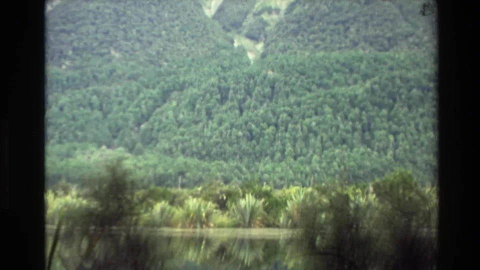 Archival New Zealand landscape frame with wooded slopes, lakeside plants, and soft reflections on water.